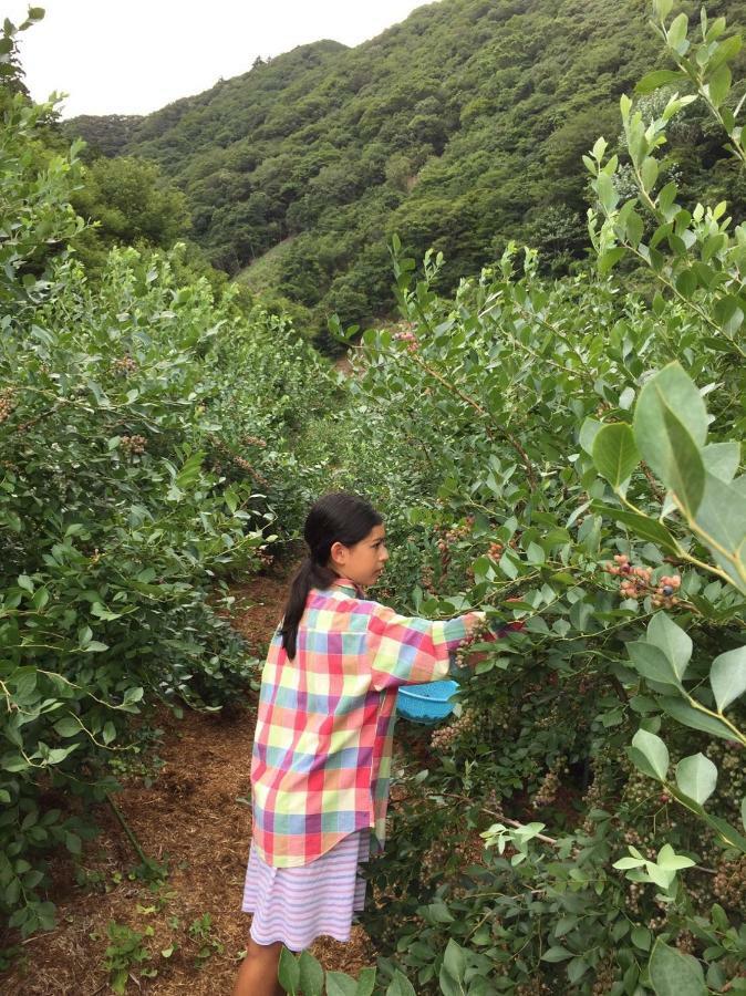 Kumano Winery Guest House ทานาเบะ ภายนอก รูปภาพ